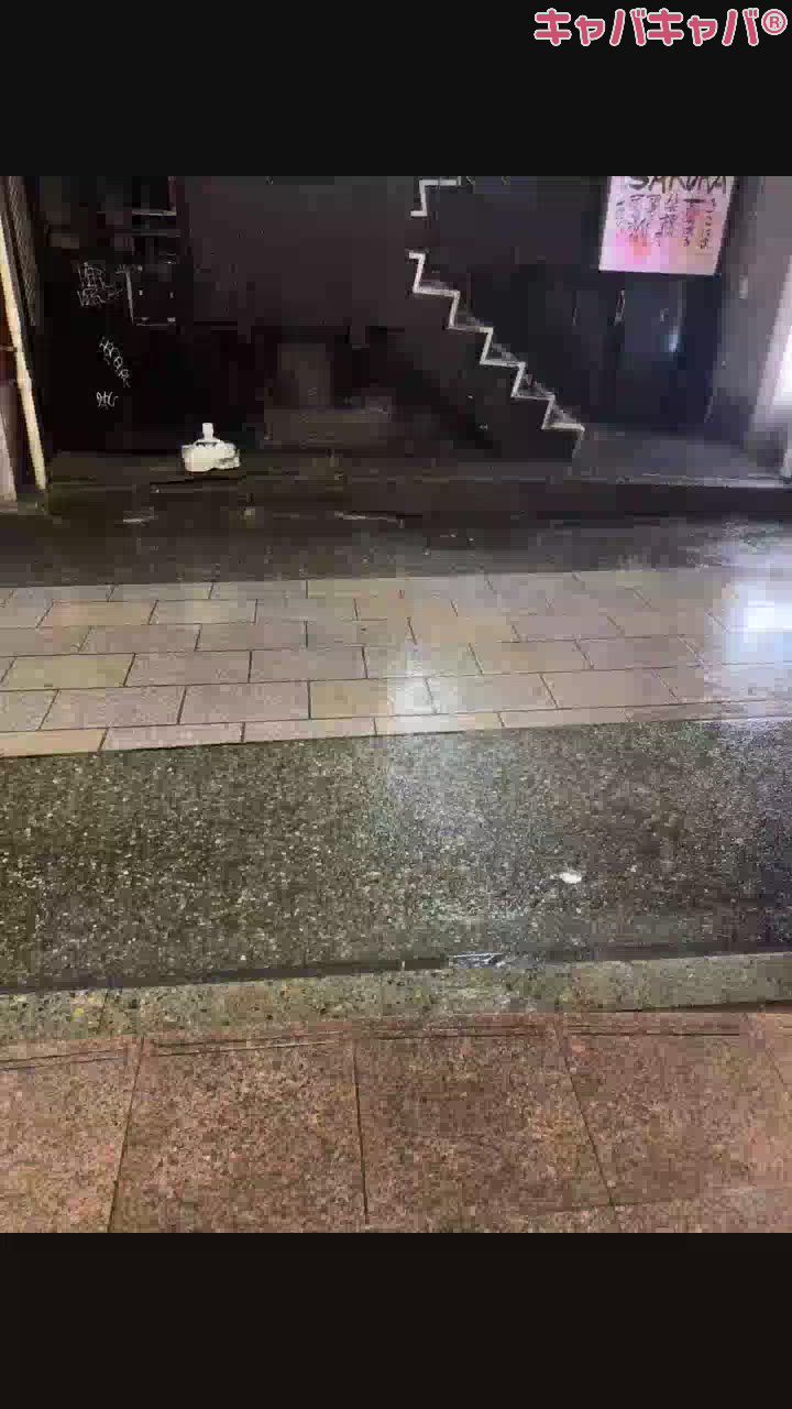 連日雨すぎて☔️髪ぱや子。