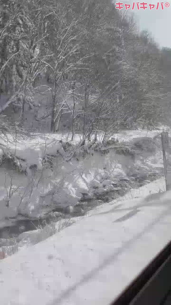 新潟の本気みた