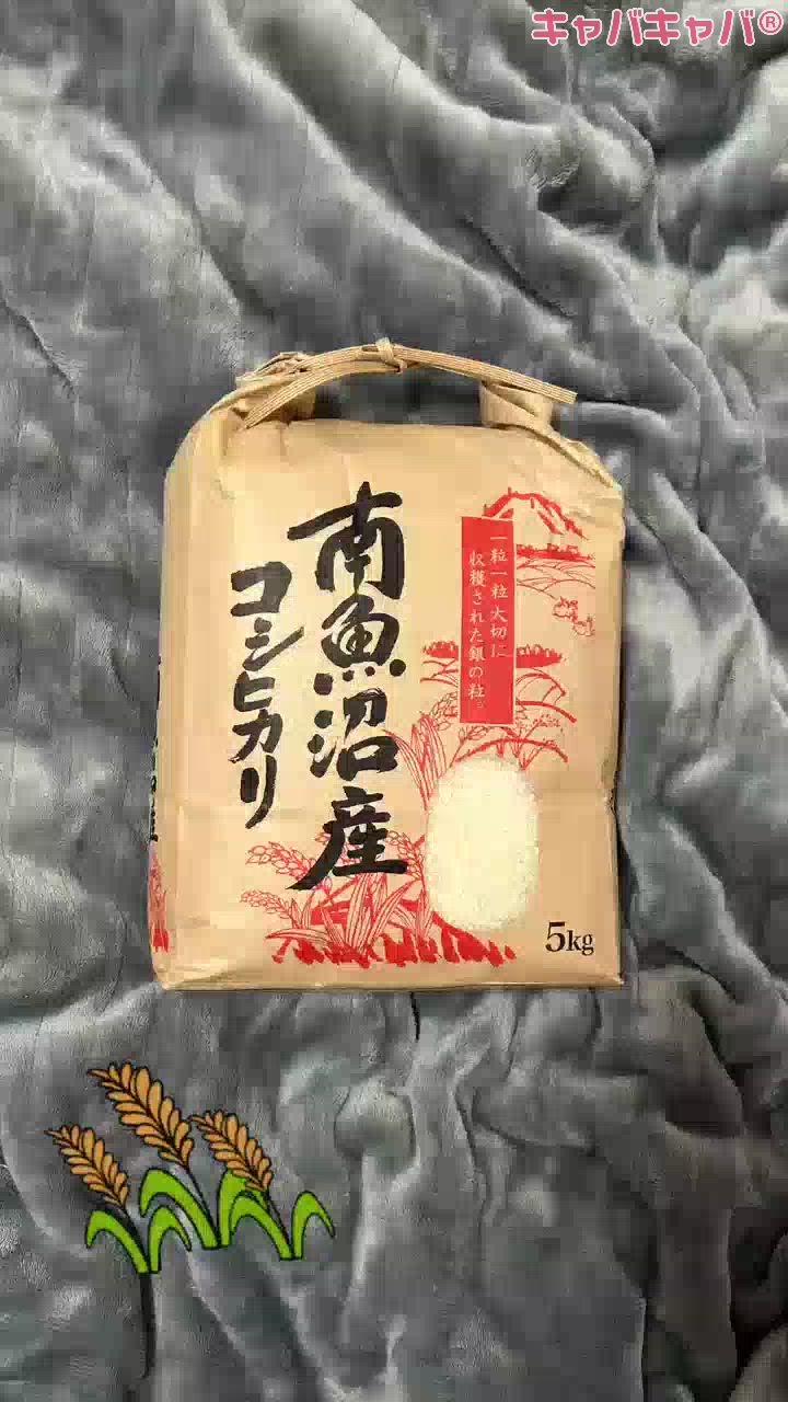 一条 葵