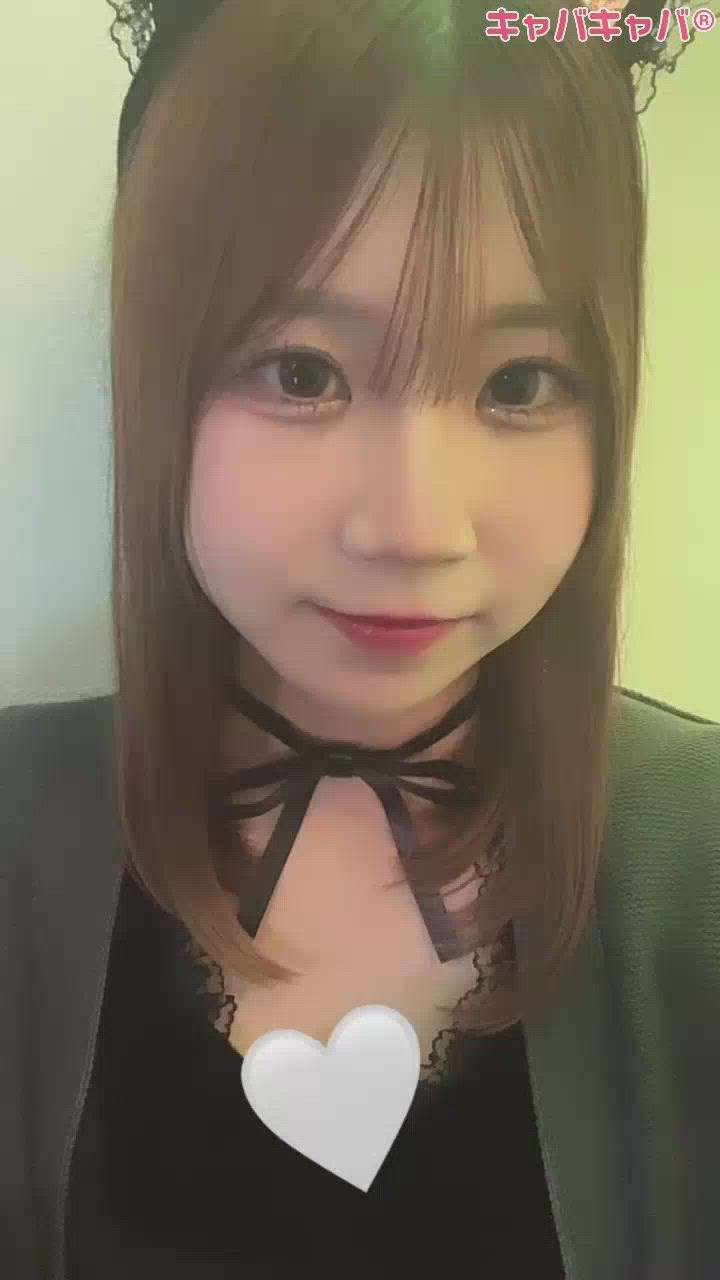 今日も黒猫でち