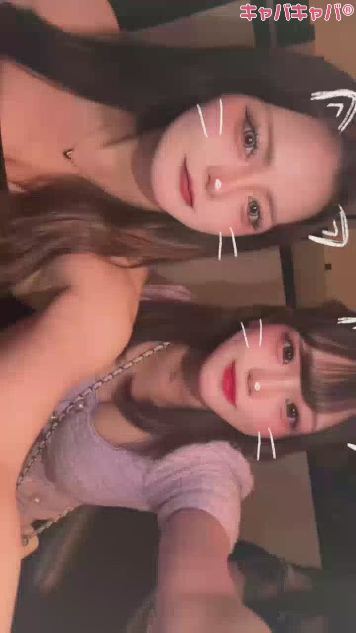 一条 葵