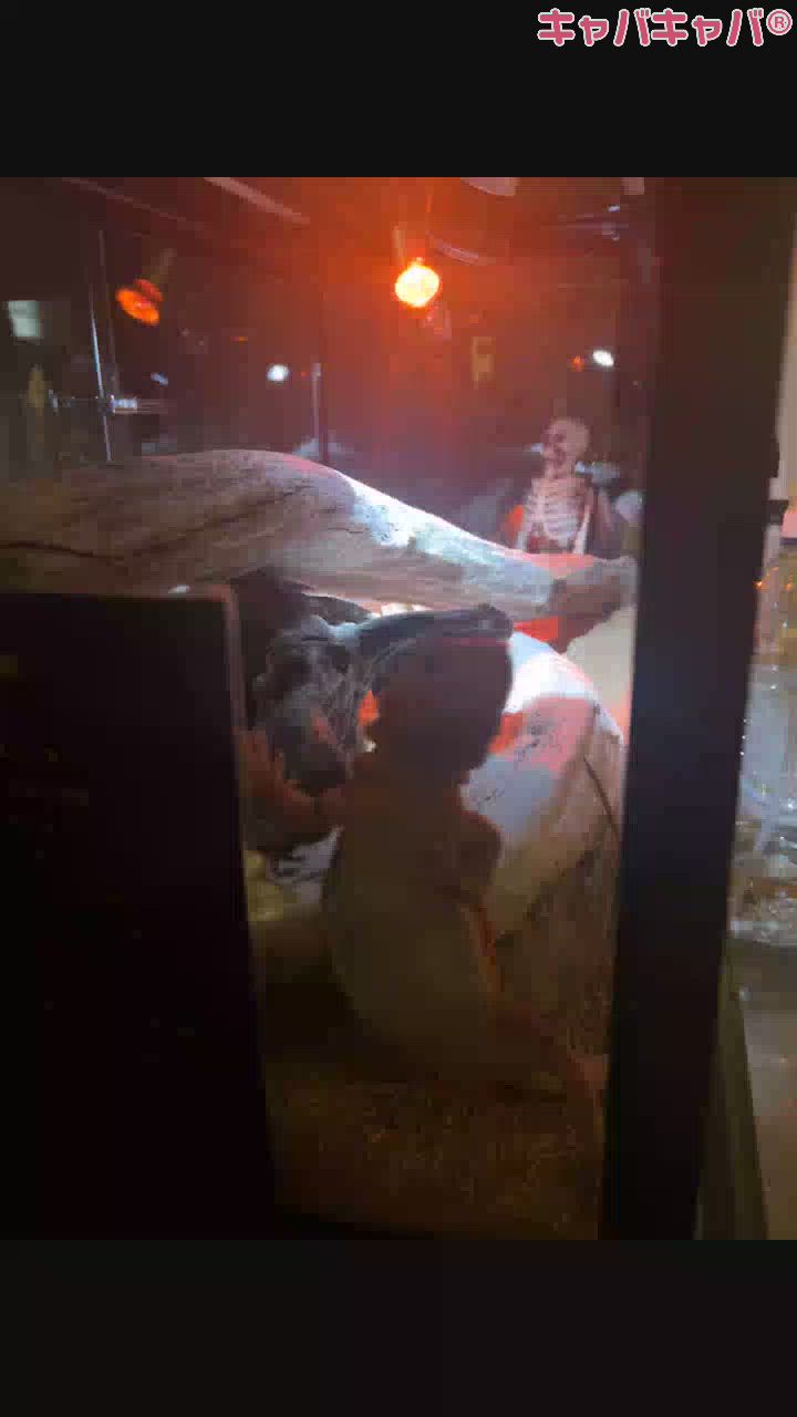 昨日は元気でした