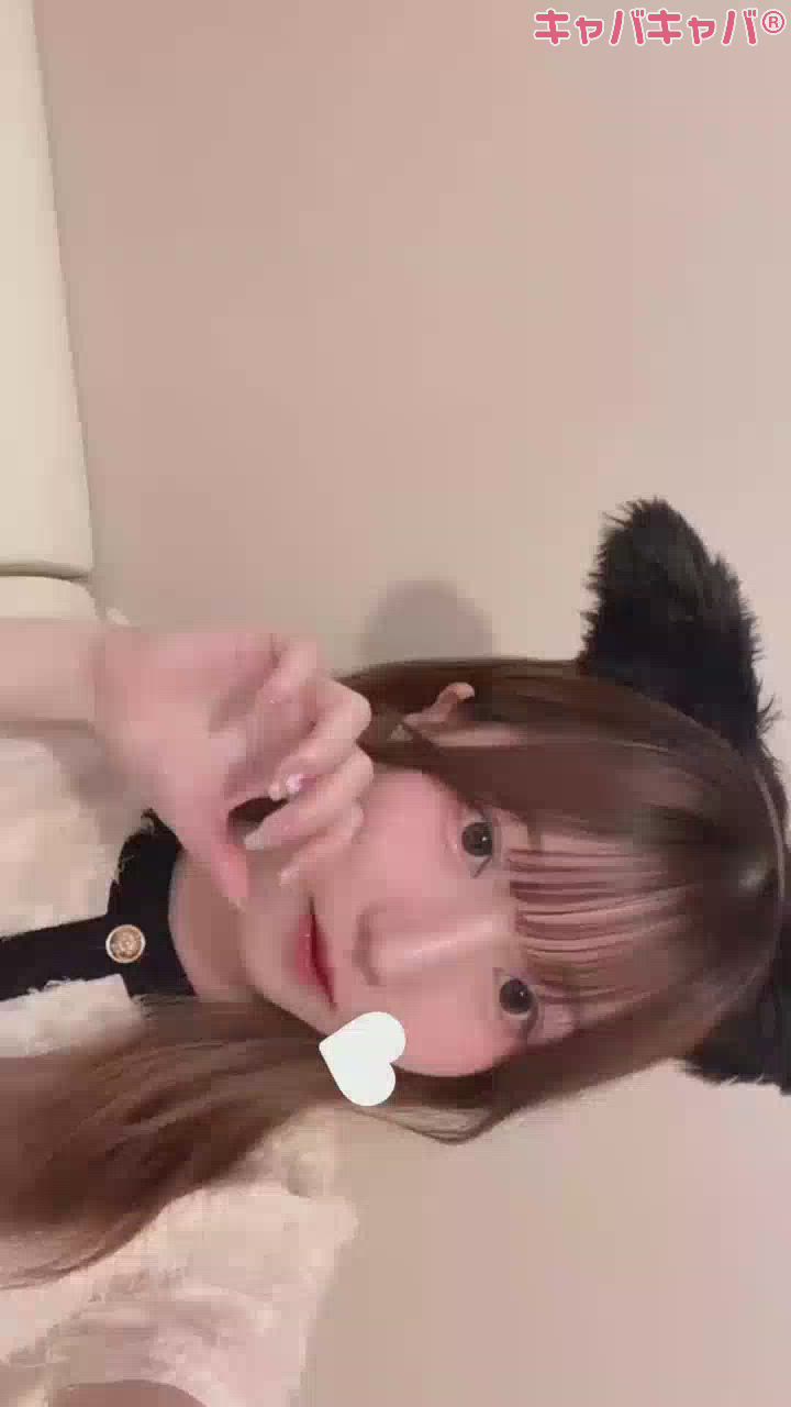 コンセプトカフェ あにまる宮殿日記1425563