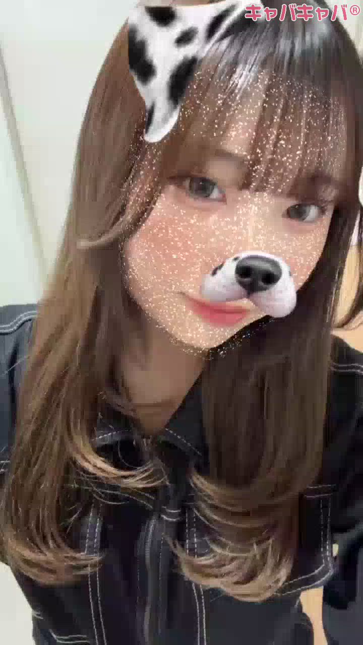 コンセプトカフェ あにまる宮殿日記1554854