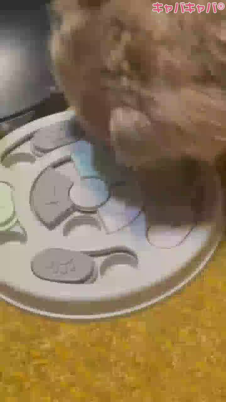 Club Lusso日記1042581