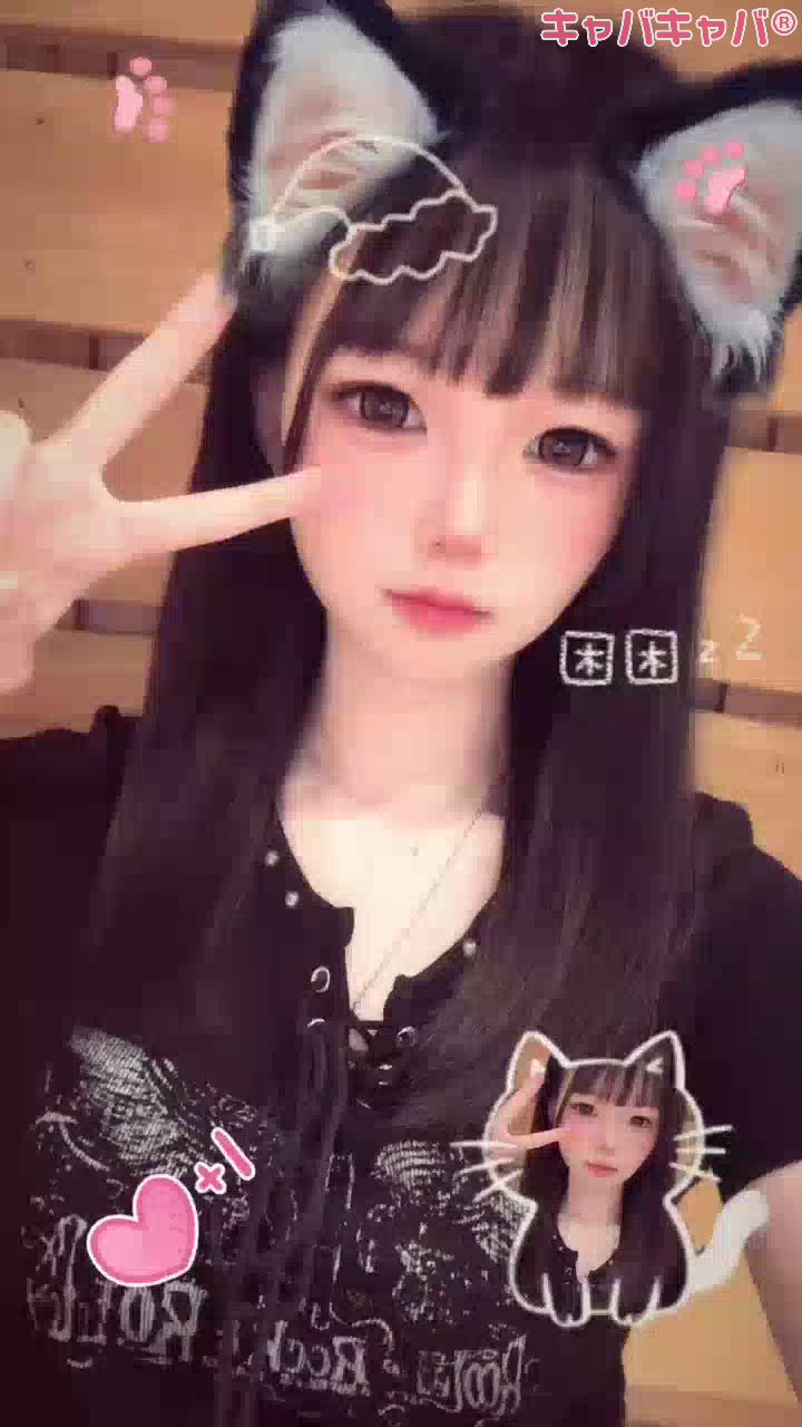 一条 葵