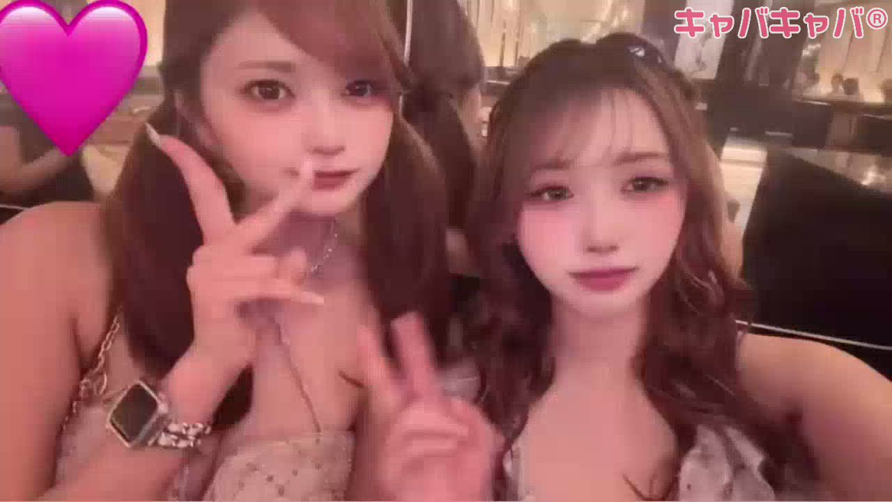 一条 葵