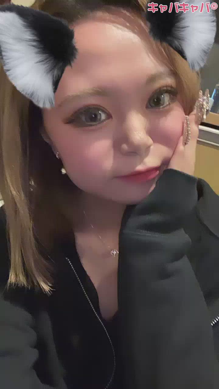 弾丸旅行いったまる