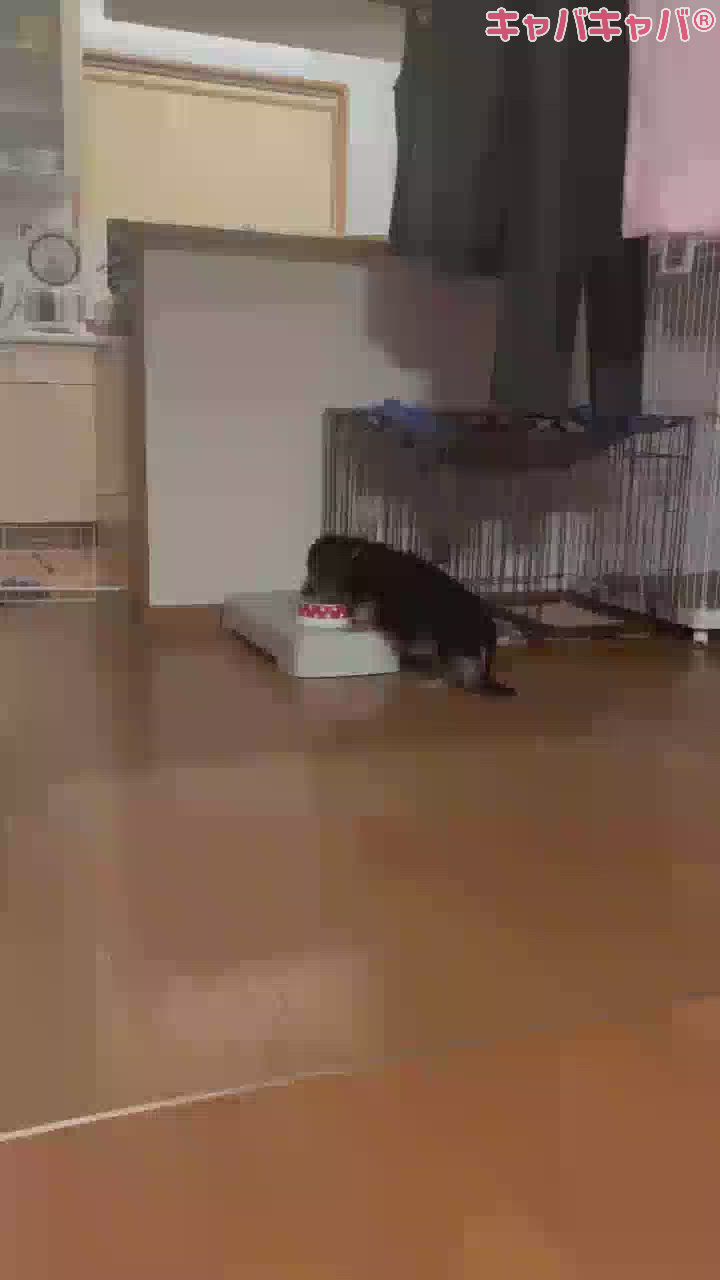 すみません、、