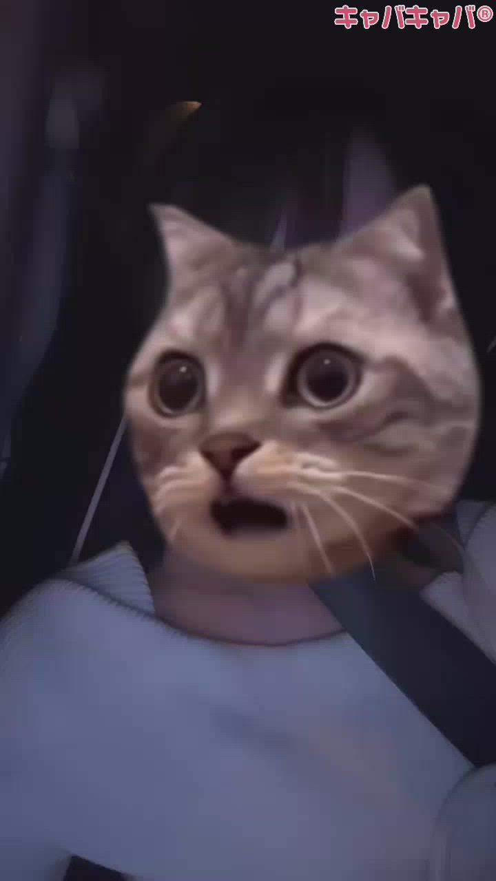 今日はパフェ食べ連れてってもらったにょ！