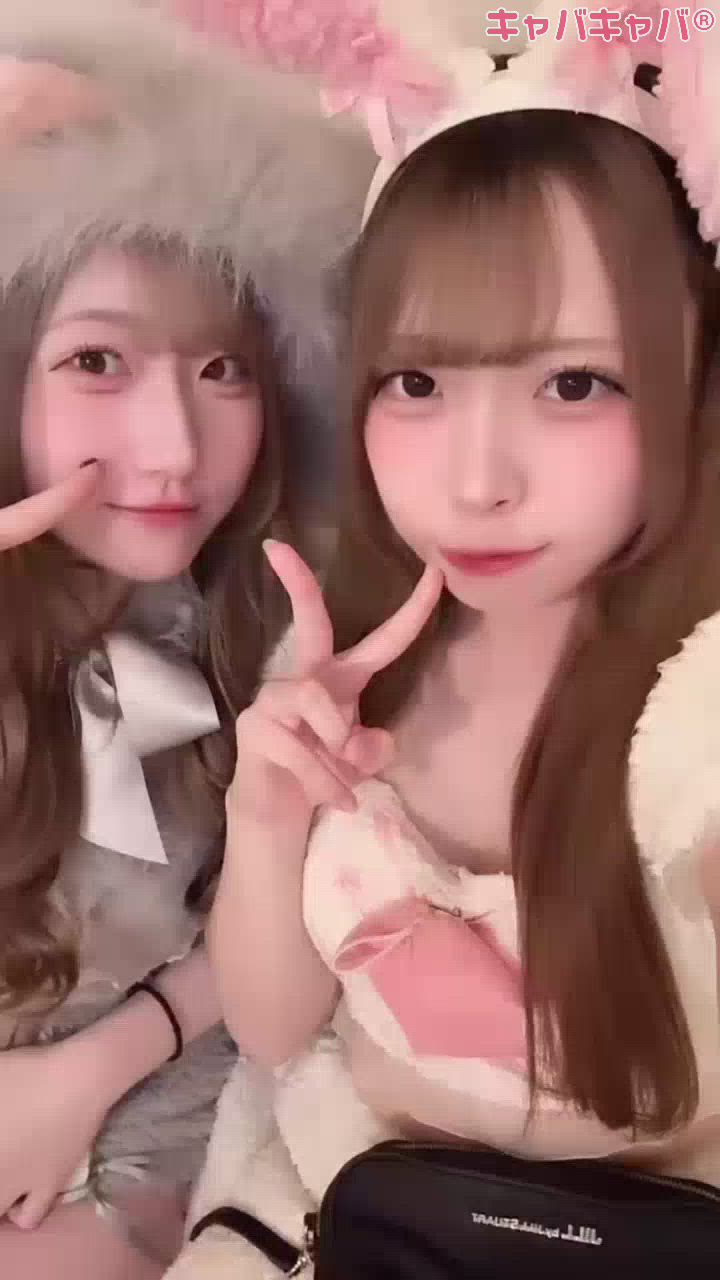 コンセプトカフェ あにまる宮殿日記1513191