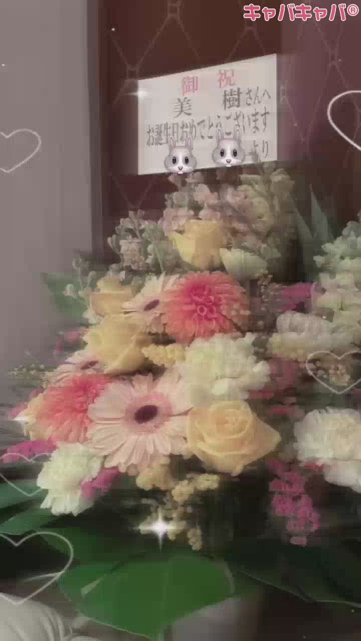 ダフネ日記1590360