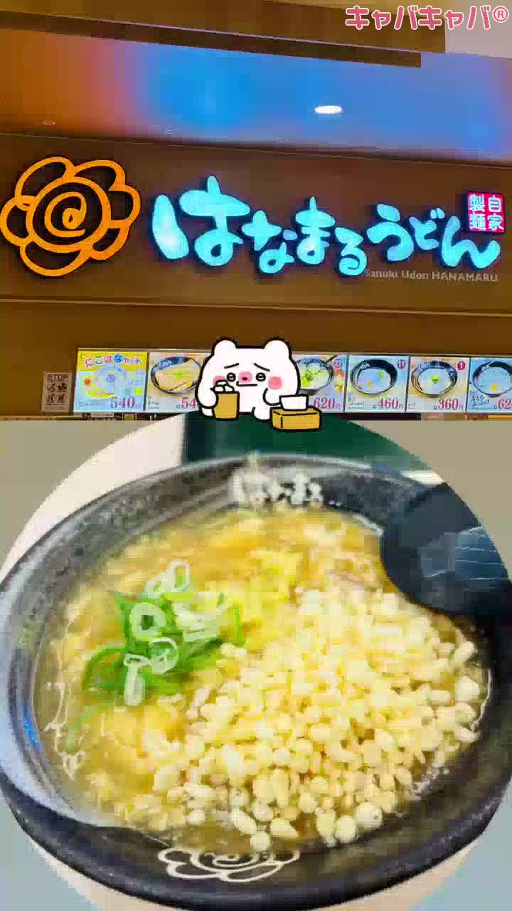 一条 葵