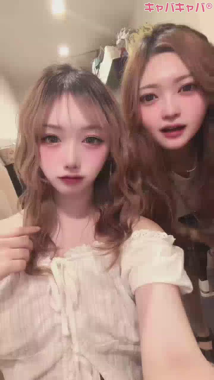 一条 葵