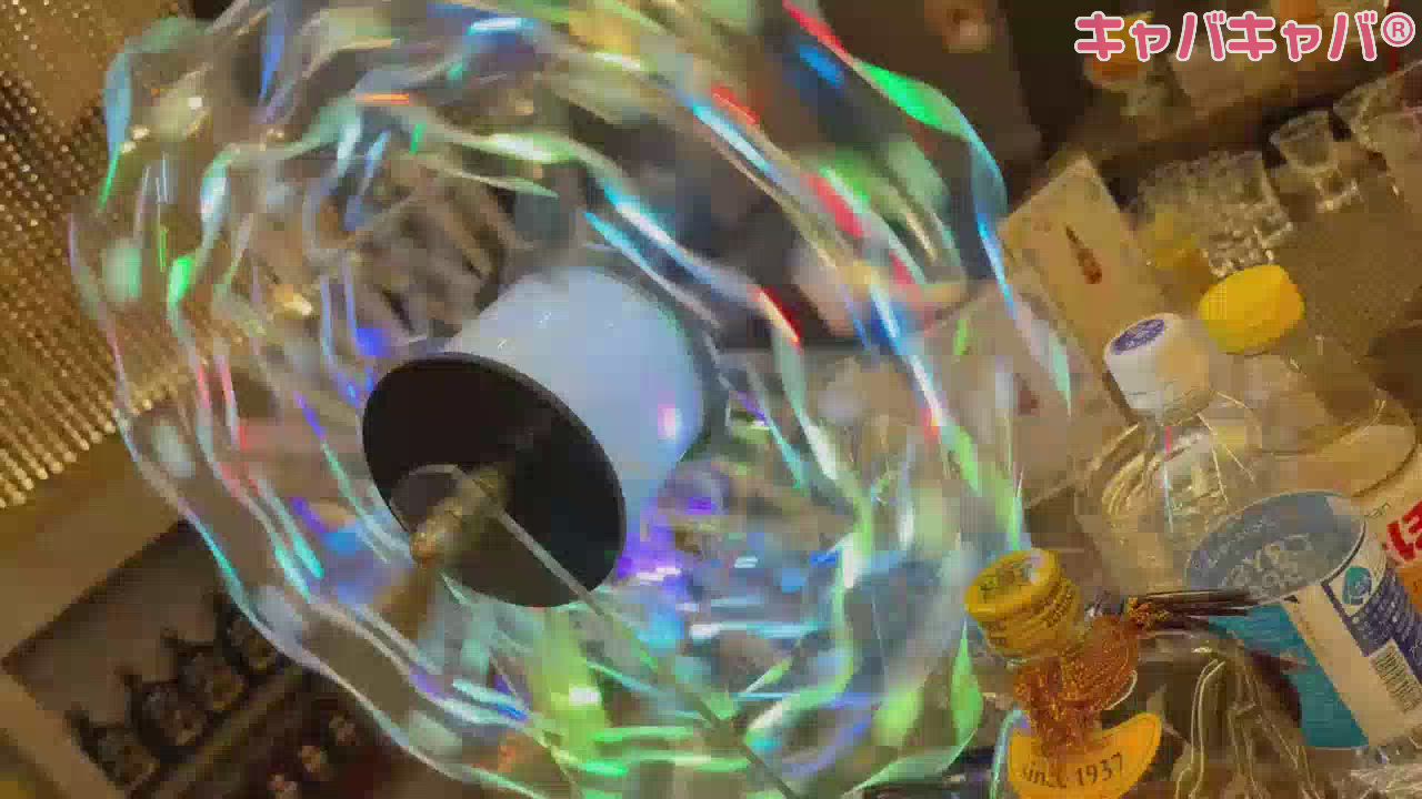 観覧車速すぎて死んでしまう🤣