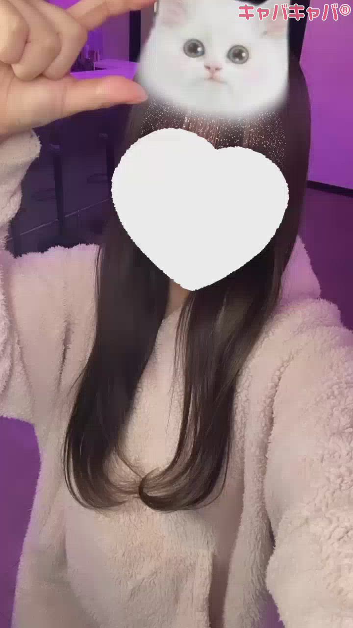 こんばんにゃฅ( ?꒳​? ฅ)