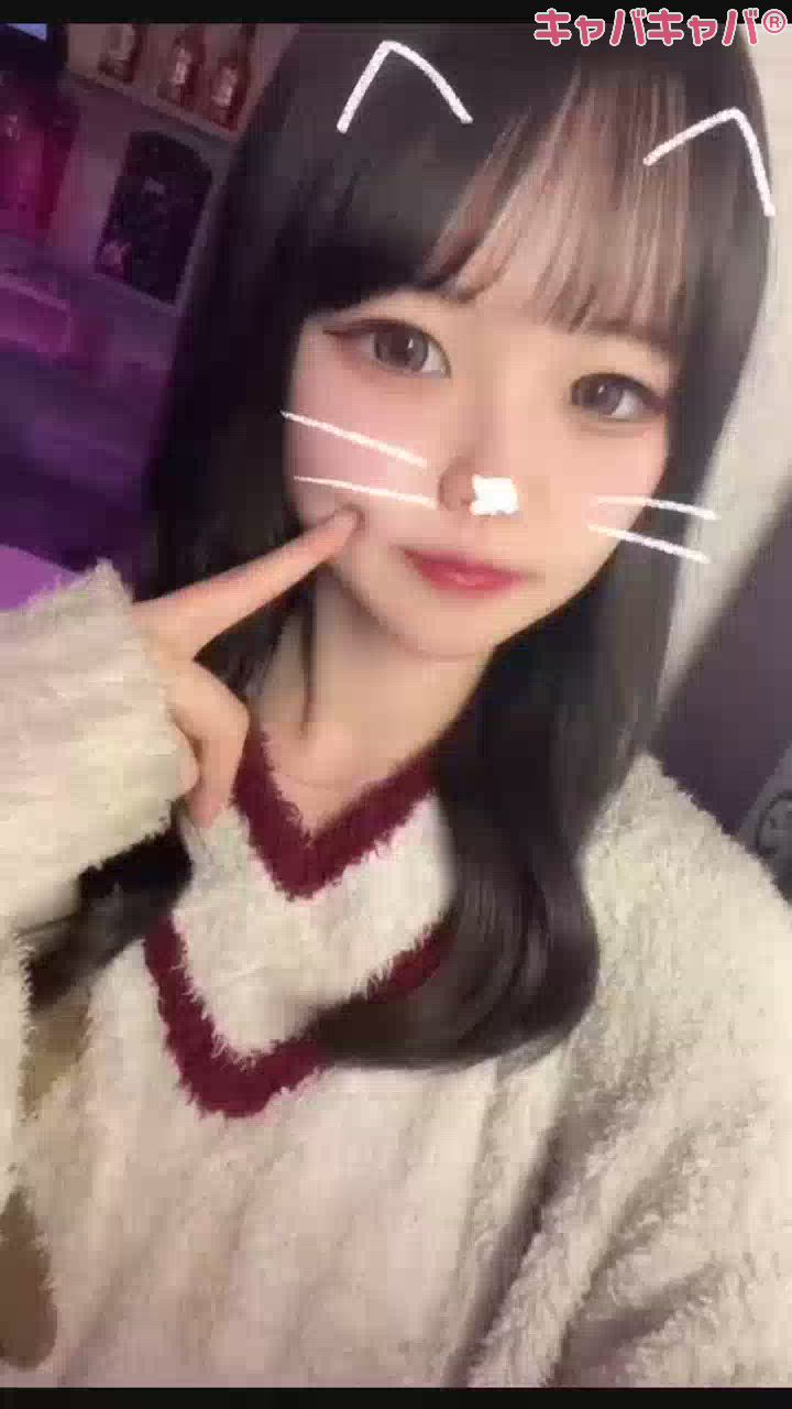 一条 葵