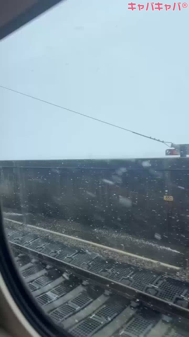 CLUB MIMOSA日記1569135