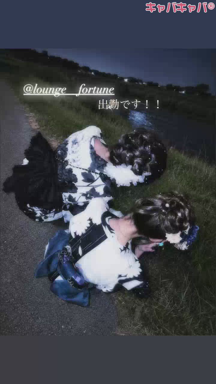 一条 葵