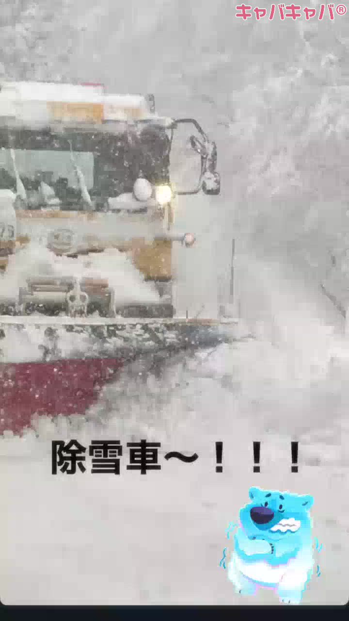 雪国過ぎー*❄️·̩͙🤍