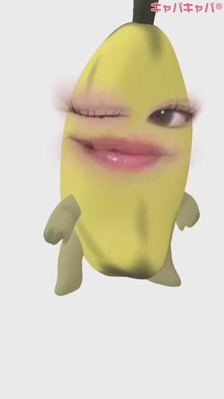 本日はお休みいただきます😭