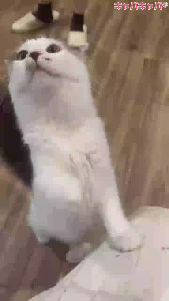 かわいい😭😭😭😭💟💟