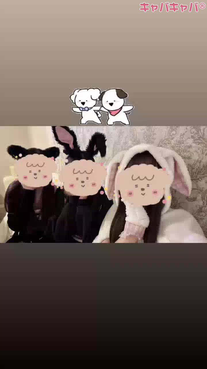 コンセプトカフェ あにまる宮殿日記1633918