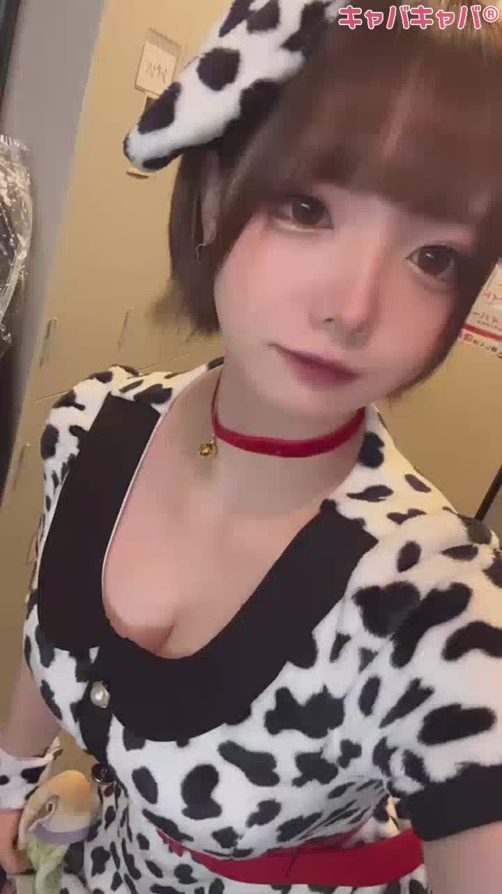 10月19日 10時00分のブログ