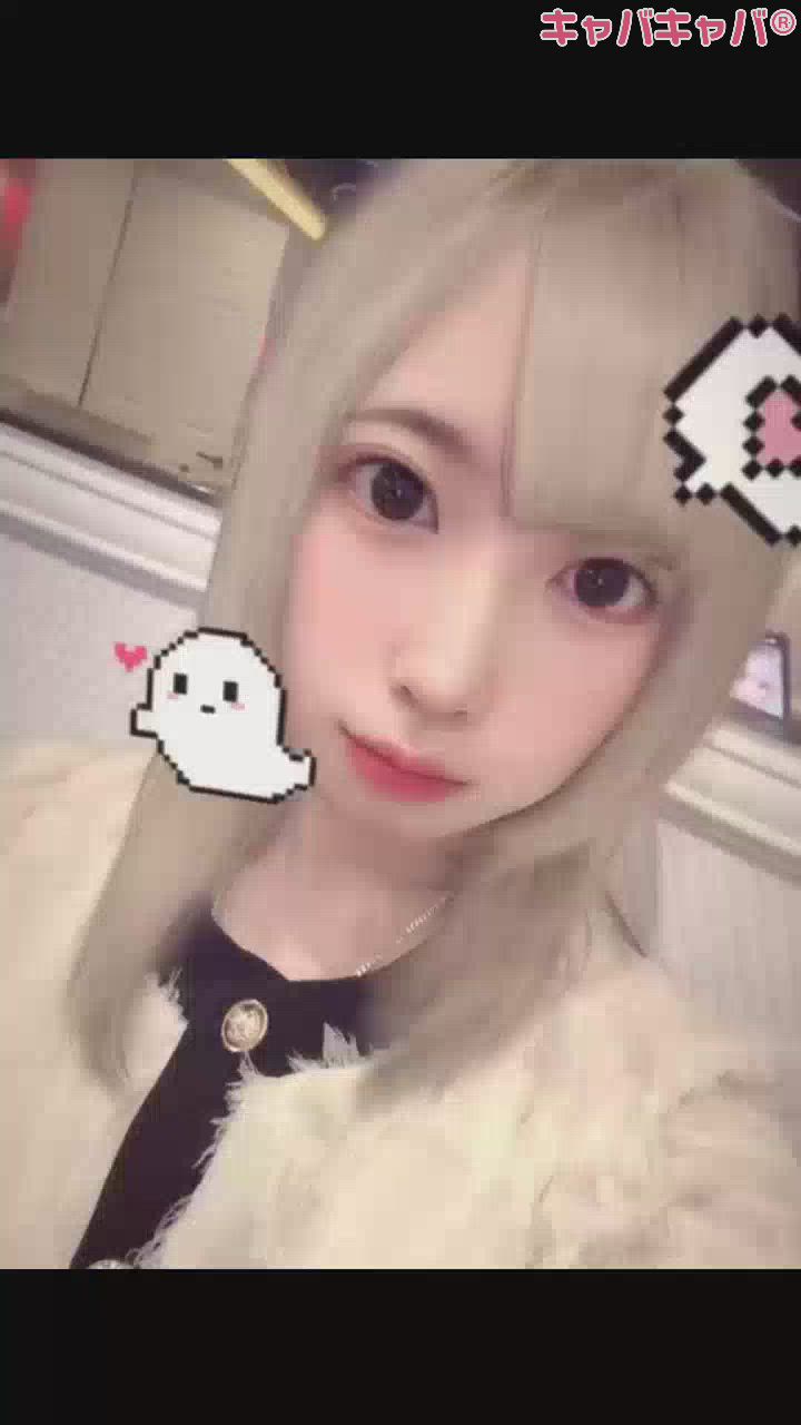 一条 葵