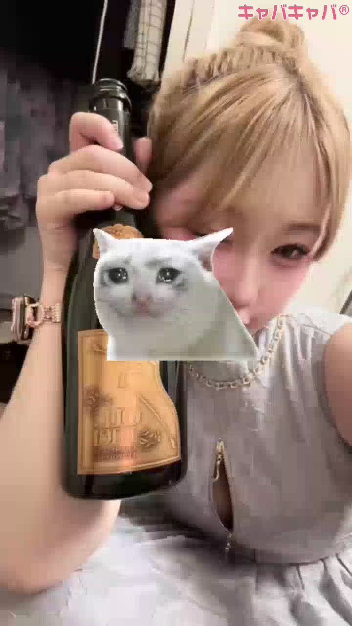 一条 葵