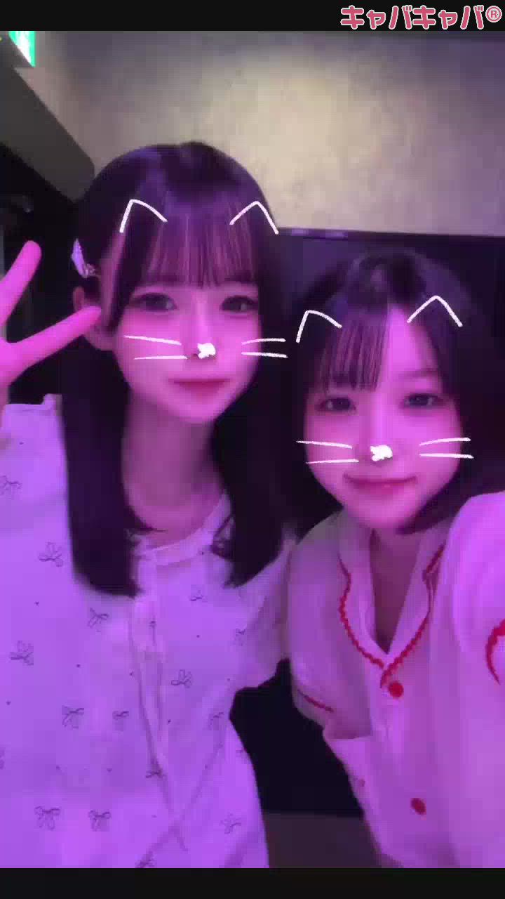 一条 葵