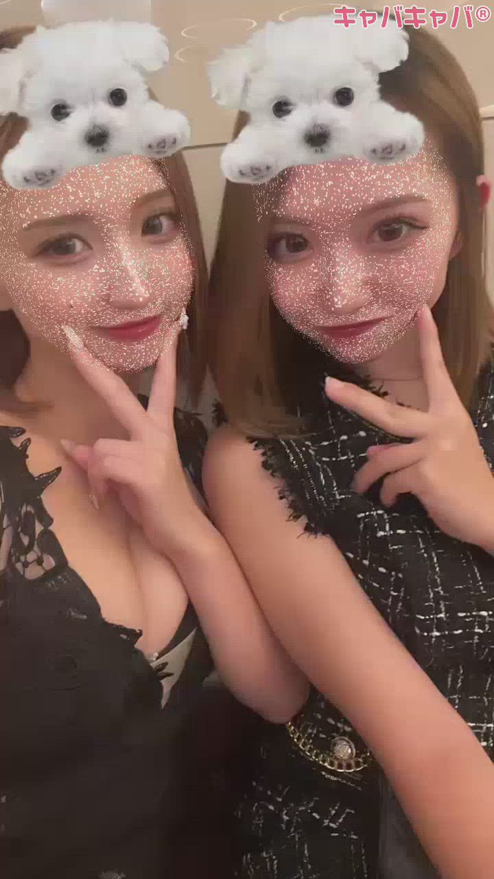 犬さん乗せちゃったり