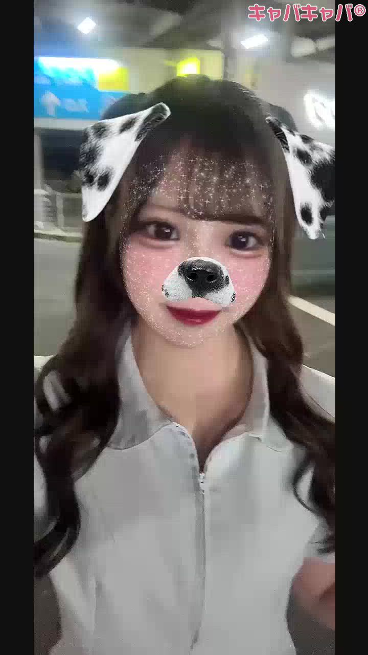 いぬです🐶🐾