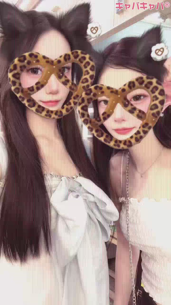 一条 葵