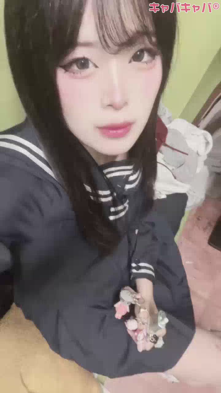 レトロ広場　わいわい日記1489878