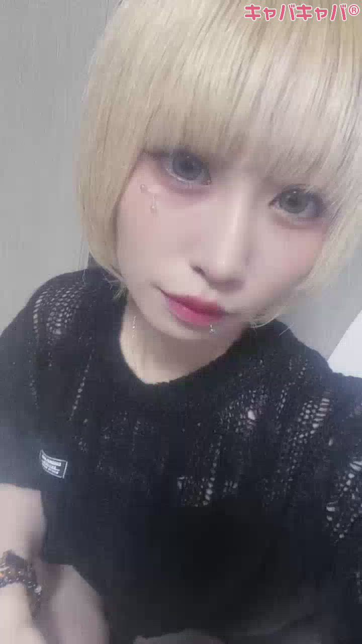一条 葵
