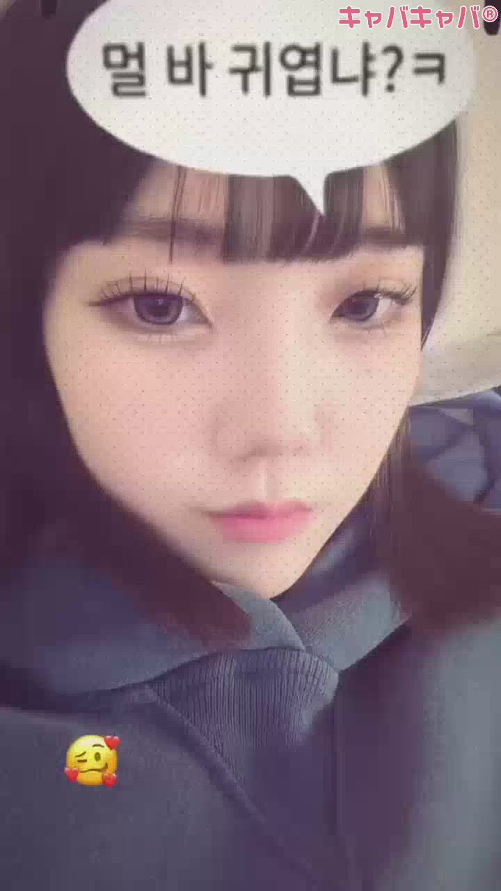 コンセプトカフェ あにまる宮殿日記1637407