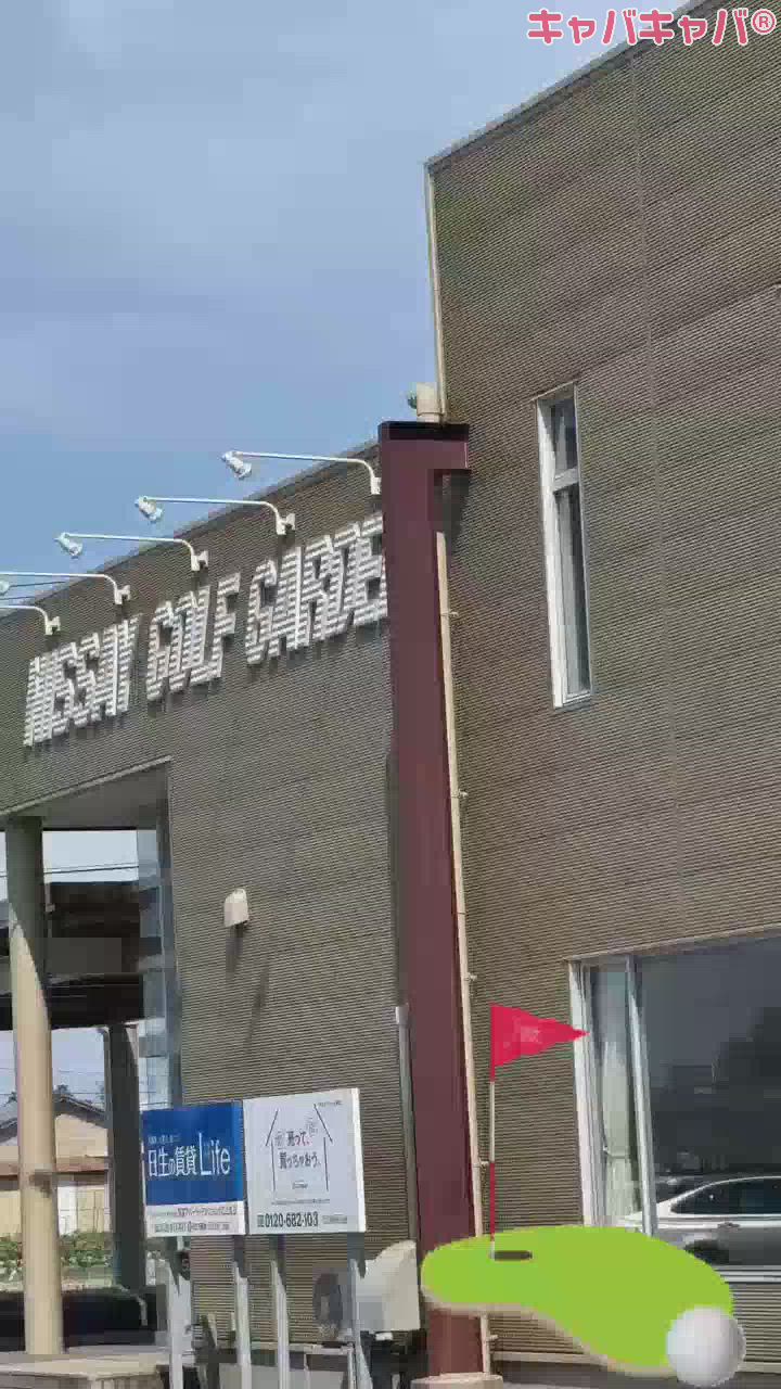 今日も今日とて🏌️‍♀️