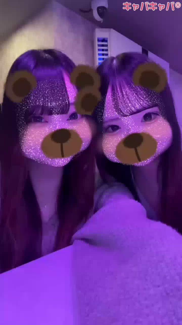一条 葵
