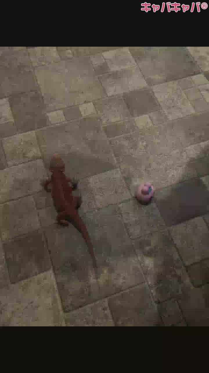 ジュネぱんちゅ