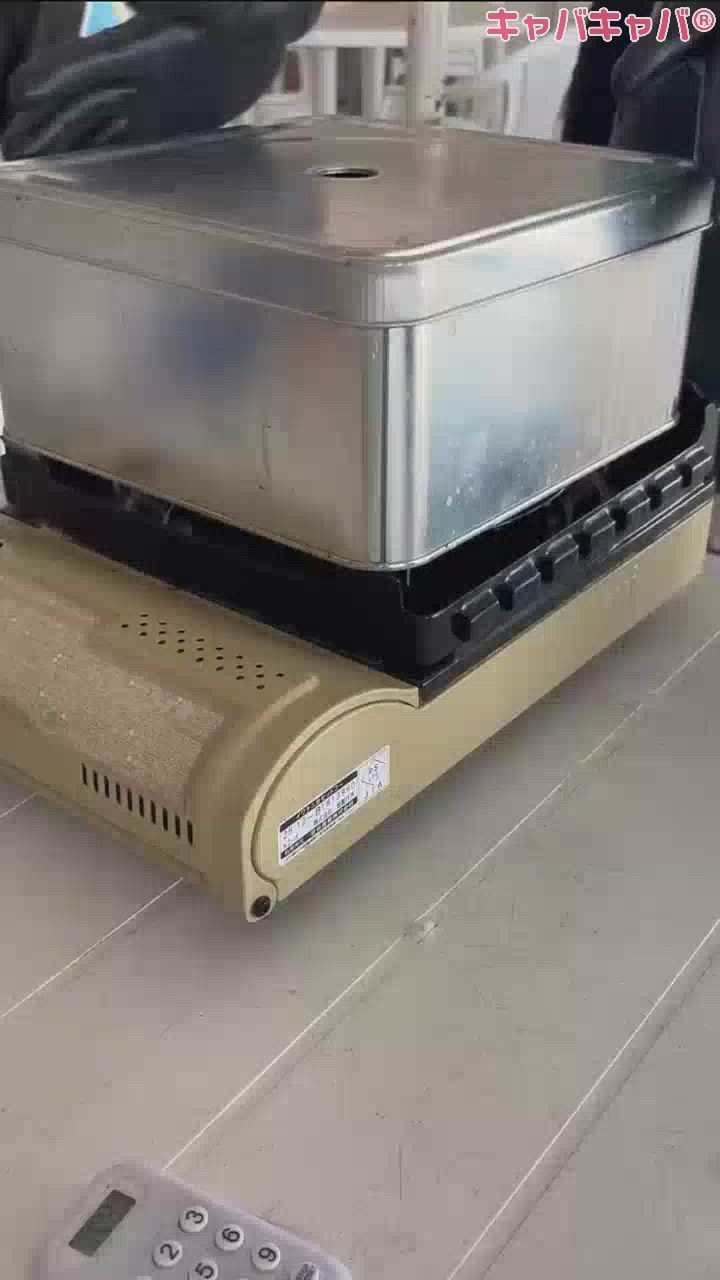 一条 葵