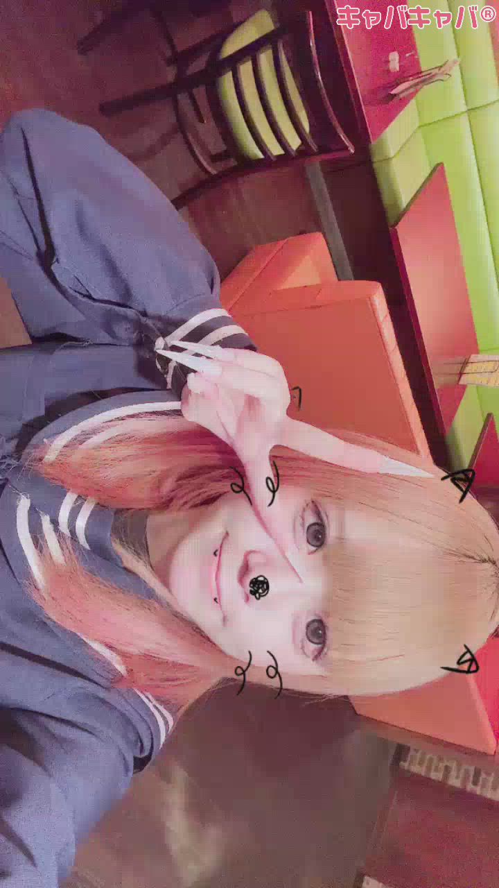 今日もいる！！よー！！！！