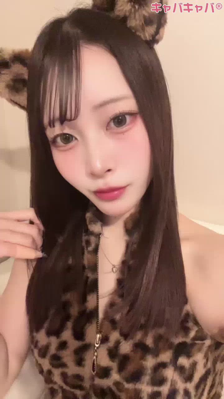 コンセプトカフェ あにまる宮殿日記1568202