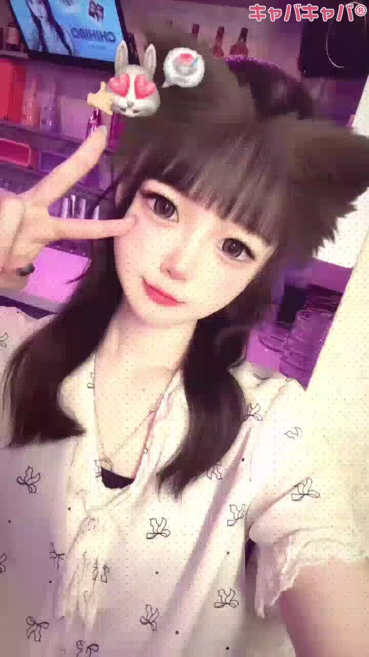 一条 葵