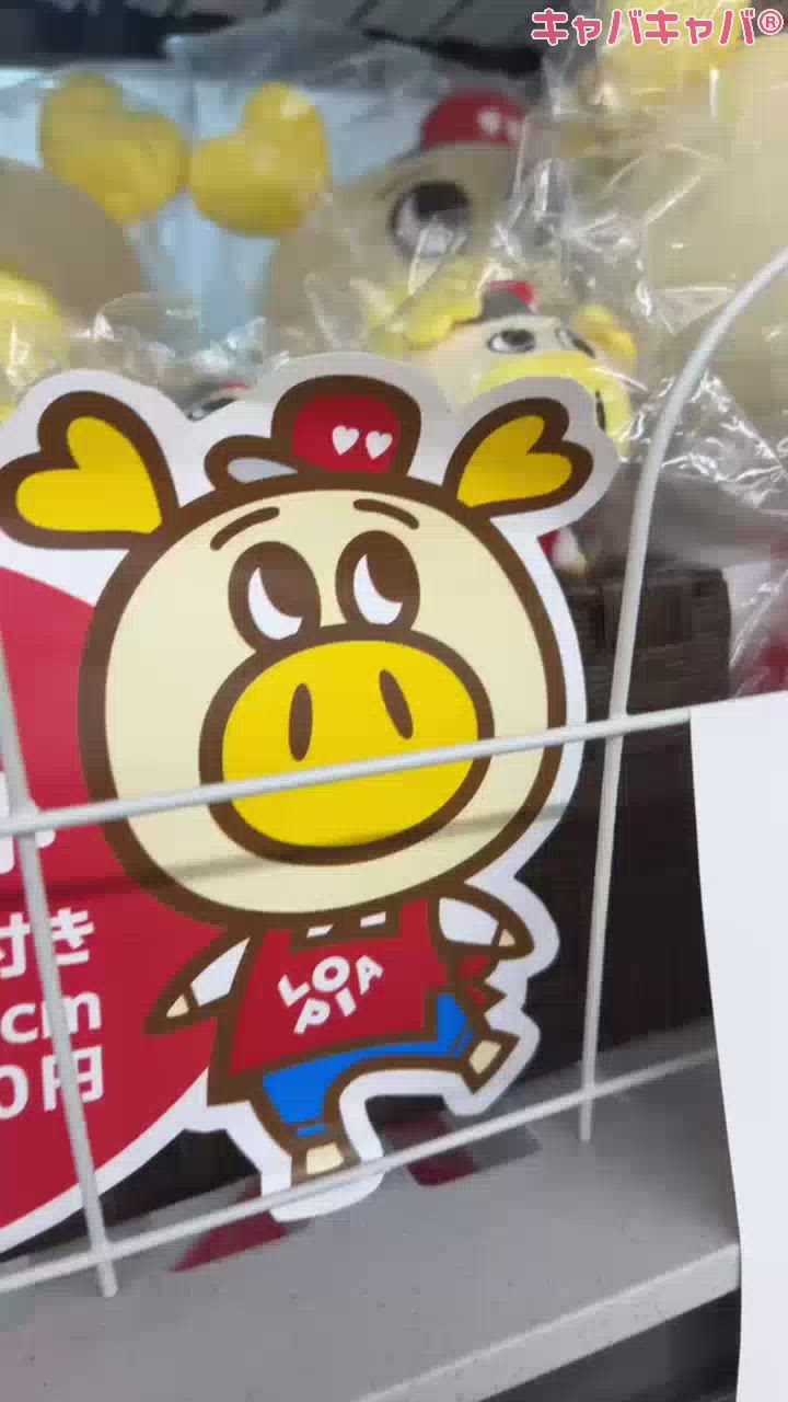 CLUB MIMOSA日記1530758