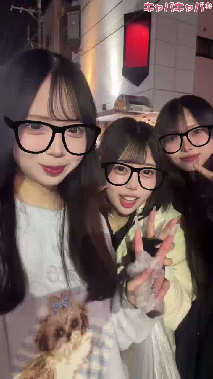 一条 葵