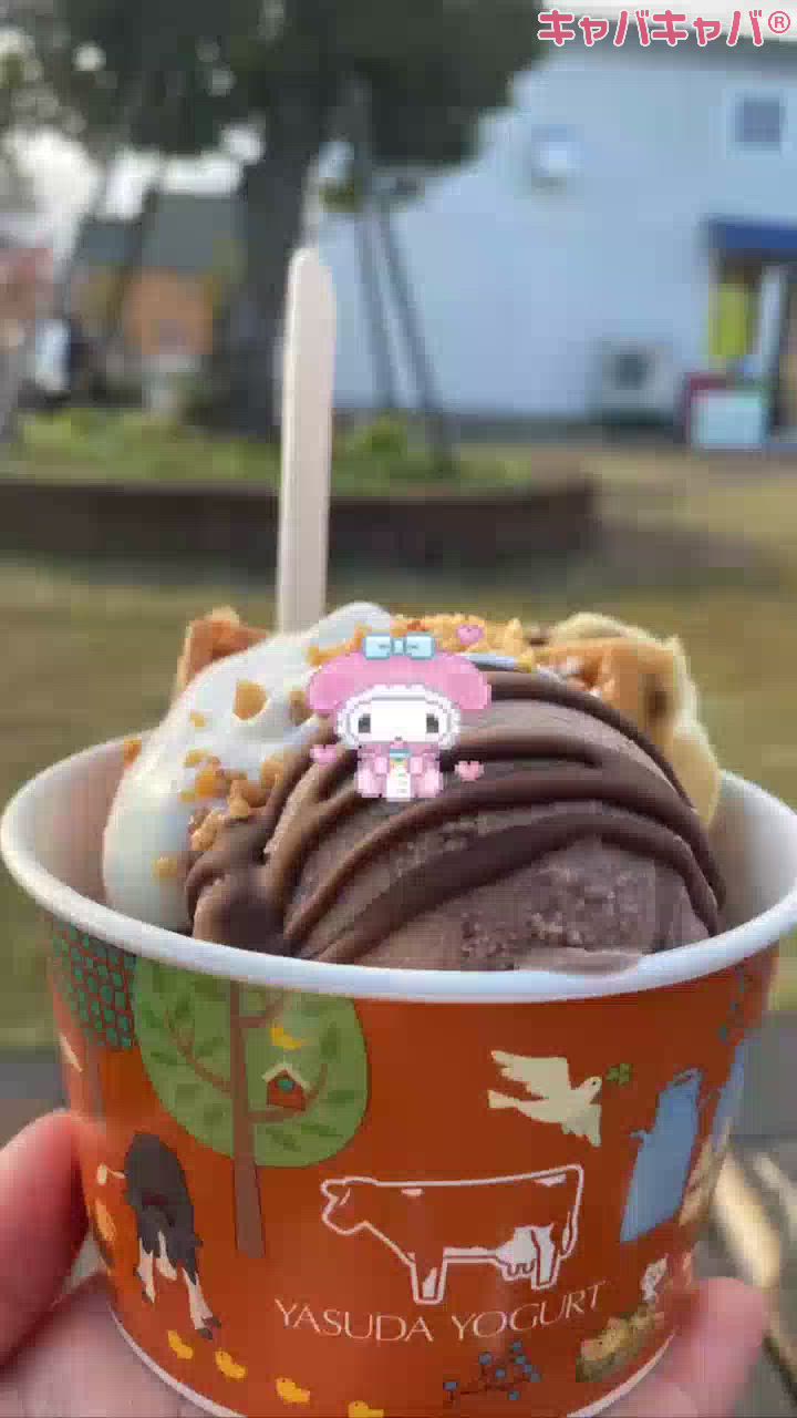 一条 葵