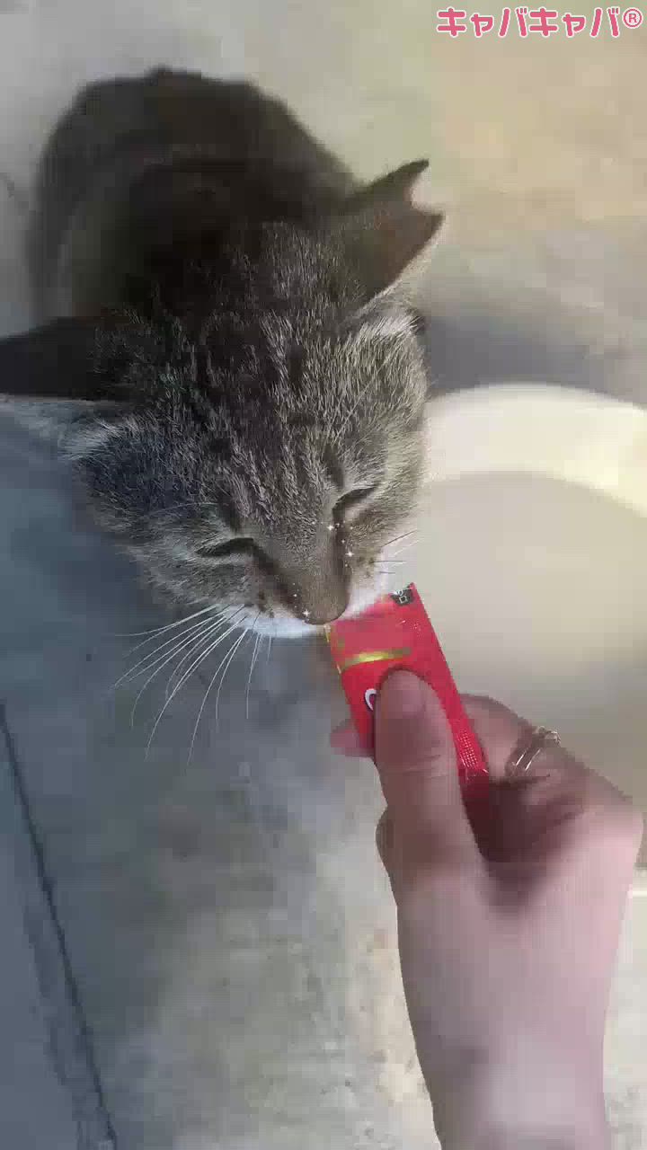 あみり