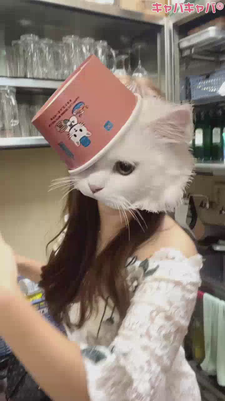 ふんっふんっ😾