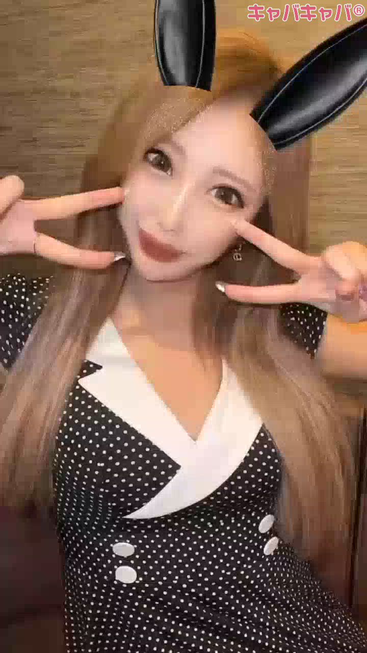 にゃ🐈⸒⸒⸒⸒